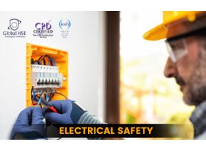 Electrical Safety | 8-08-2025 | Online